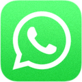 WhatsApp网页版官方Logo